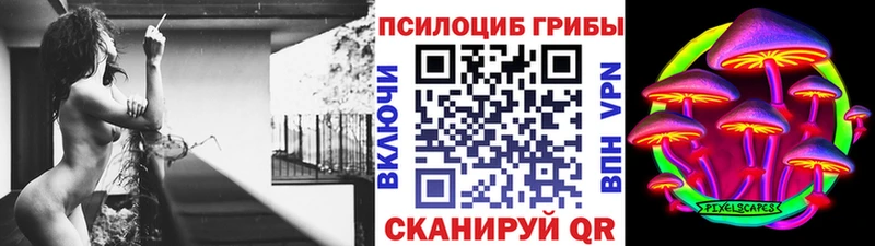 купить наркотики сайты  Тосно  Галлюциногенные грибы Magic Shrooms 