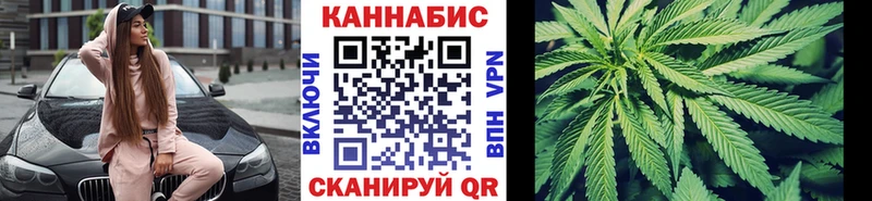 купить наркоту  Тосно  Бошки марихуана индика 